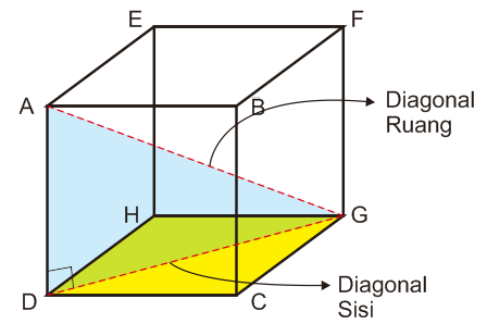 Detail Gambar Diagonal Sisi Kubus Nomer 51