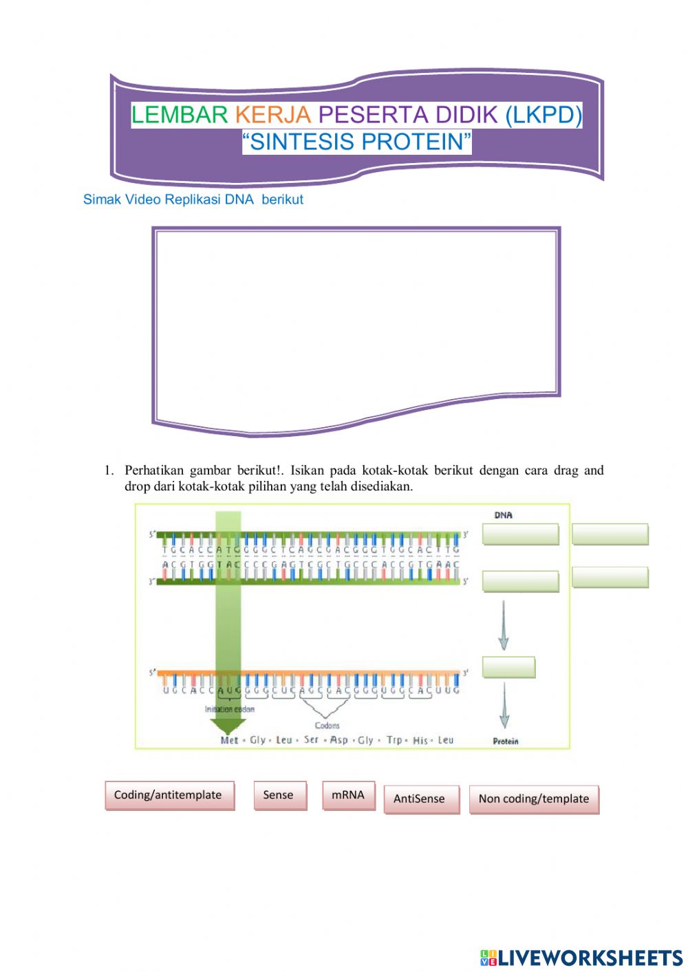 Detail Gambar Diagram Sintesis Protein Nomer 32