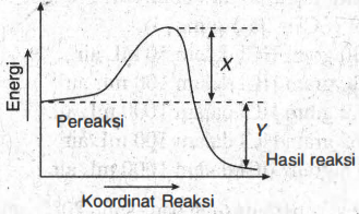 Detail Gambar Diagram Tingkat Energi Reaksi Endoterm Nomer 38