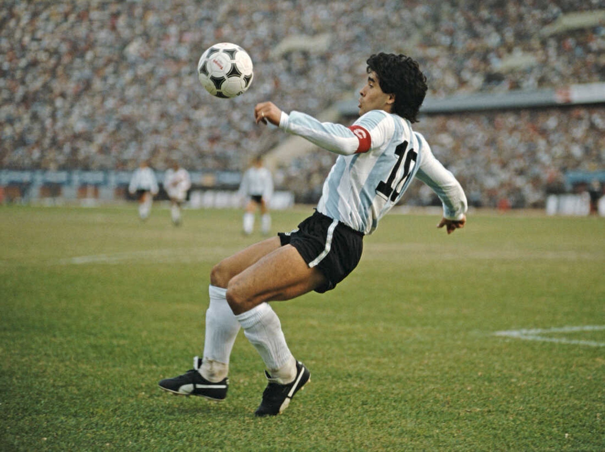 Detail Gambar Diego Maradona Nomer 19