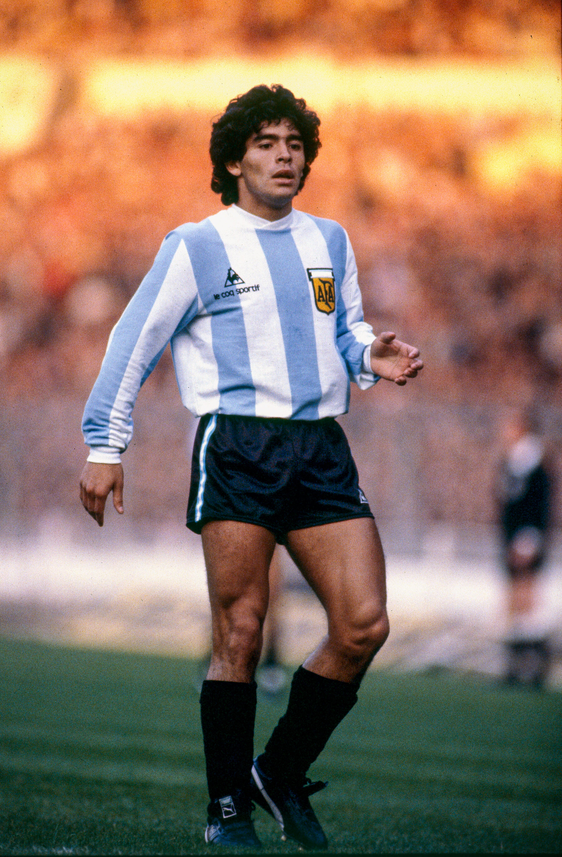 Detail Gambar Diego Maradona Nomer 3