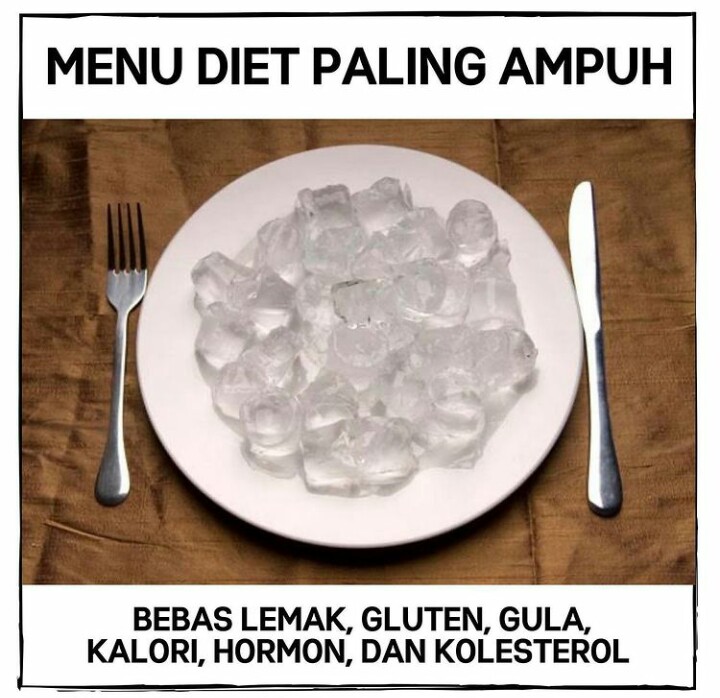 Detail Gambar Diet Lucu Nomer 27