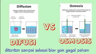 Detail Gambar Difusi Dan Osmosis Nomer 2