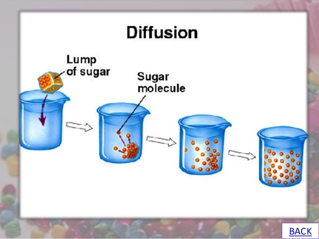 Detail Gambar Difusi Dan Osmosis Nomer 19