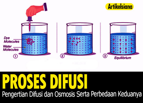 Detail Gambar Difusi Dan Osmosis Nomer 23