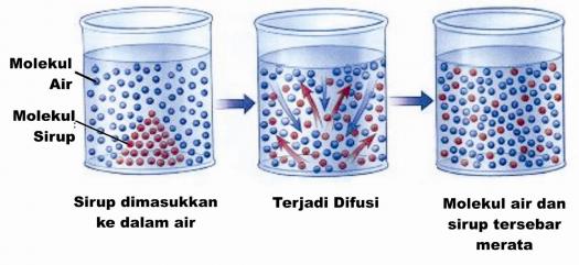 Detail Gambar Difusi Dan Osmosis Nomer 26