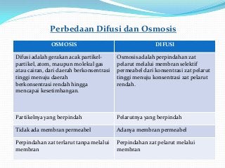 Detail Gambar Difusi Dan Osmosis Nomer 28