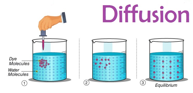 Detail Gambar Difusi Dan Osmosis Nomer 36