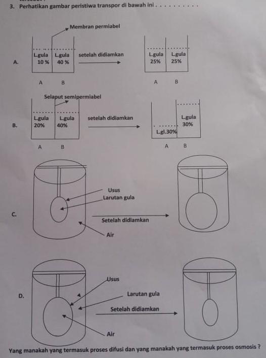 Detail Gambar Difusi Dan Osmosis Nomer 38