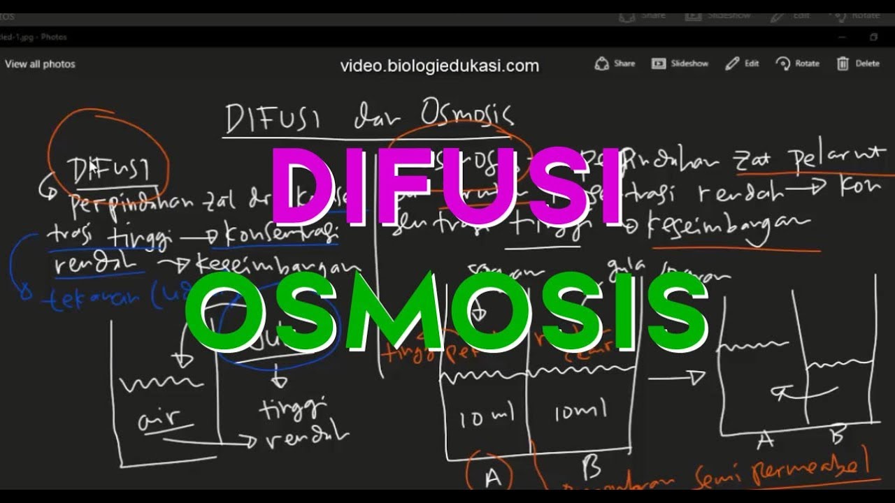 Detail Gambar Difusi Dan Osmosis Nomer 40