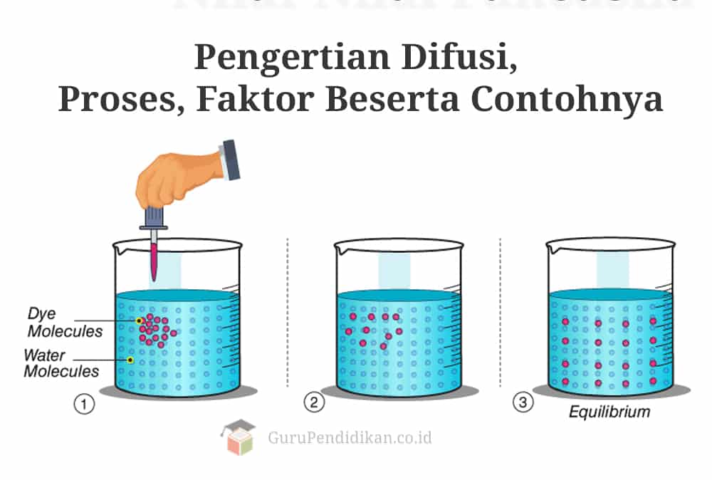 Detail Gambar Difusi Dan Osmosis Nomer 7