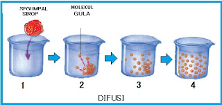 Detail Gambar Difusi Dan Osmosis Nomer 8