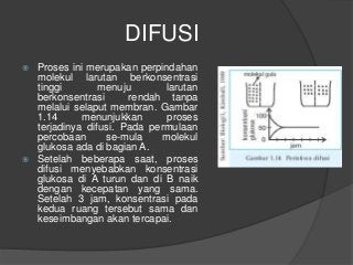 Detail Gambar Difusi Tanpa Tulisan Nomer 13