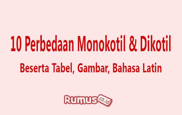 Detail Gambar Dikotil Dan Monokotil Nomer 39