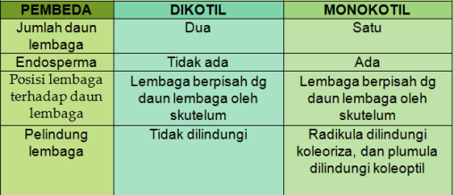 Detail Gambar Dikotil Dan Monokotil Nomer 53