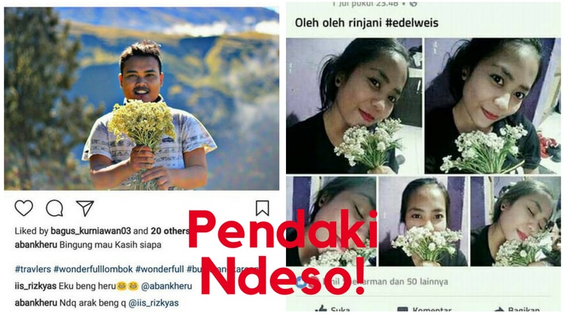 Detail Gambar Dilarang Memetik Bunga Nomer 27