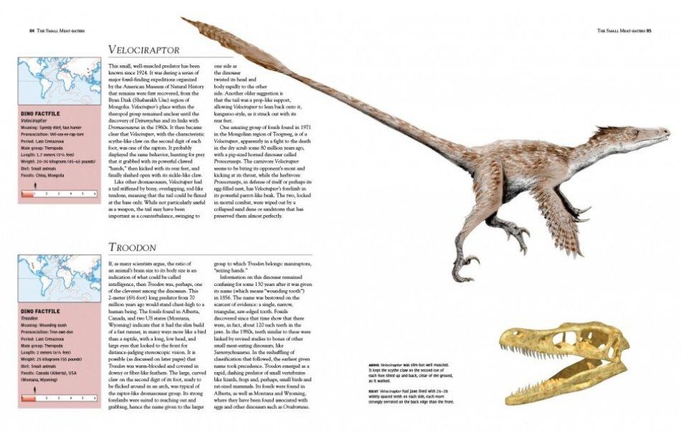 Detail Gambar Dino Saurus Nomer 18