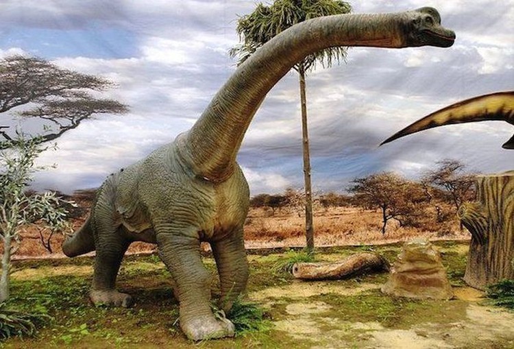 Detail Gambar Dino Saurus Nomer 35
