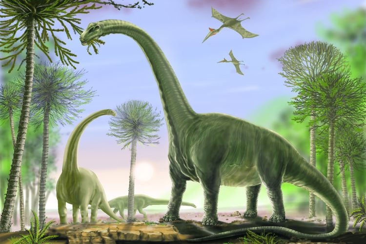 Detail Gambar Dino Saurus Nomer 7