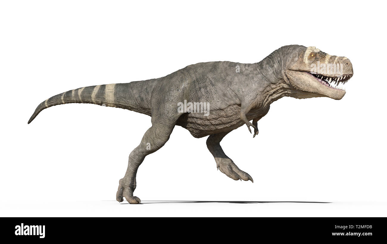 Detail Gambar Dinosaurus 3d Nomer 19