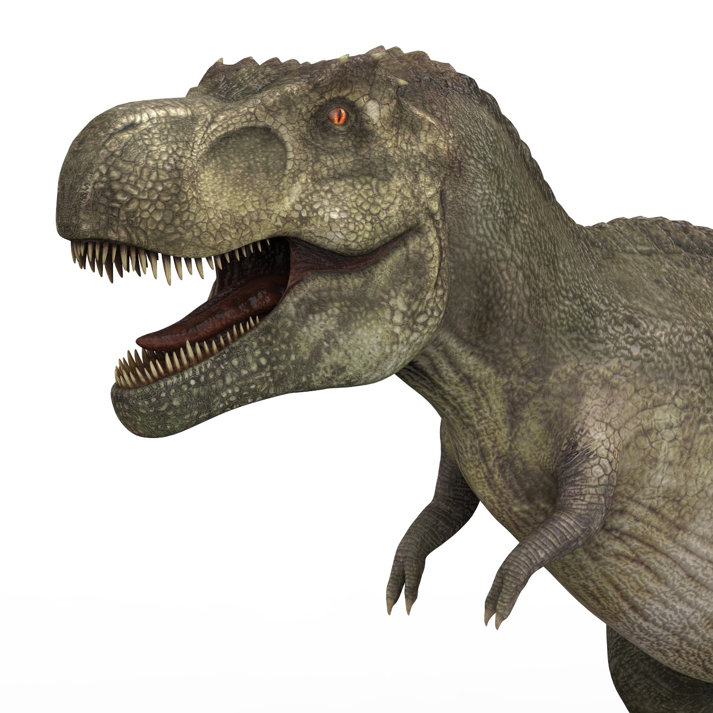 Detail Gambar Dinosaurus 3d Nomer 20