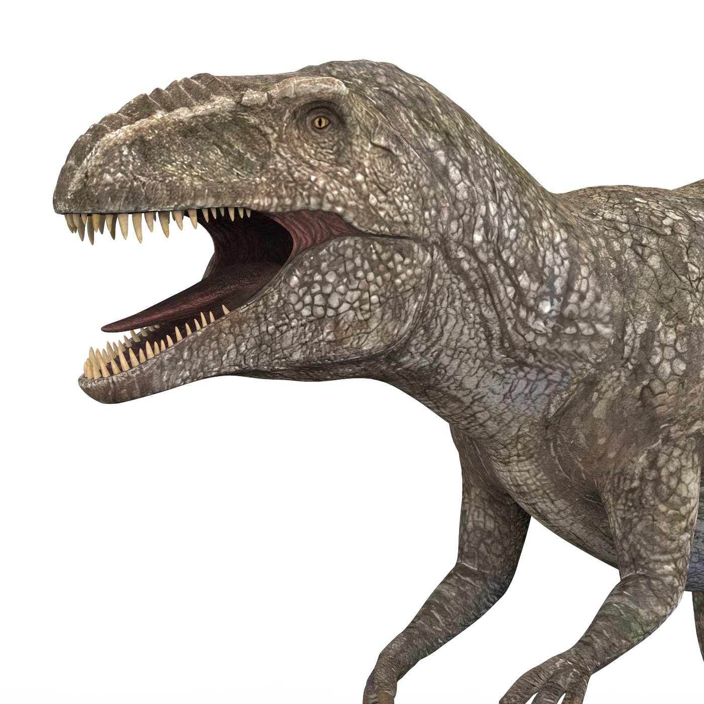 Detail Gambar Dinosaurus 3d Nomer 24