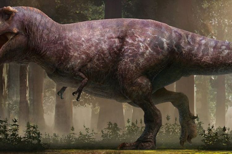 Detail Gambar Dinosaurus A Li Nomer 12