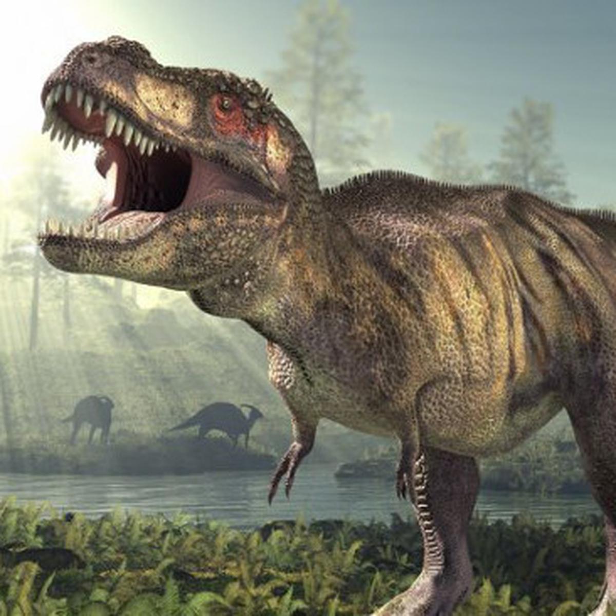 Detail Gambar Dinosaurus A Li Nomer 18