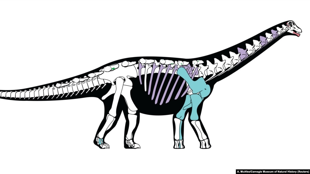 Detail Gambar Dinosaurus A Li Nomer 42