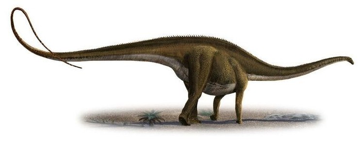 Detail Gambar Dinosaurus A Li Nomer 55