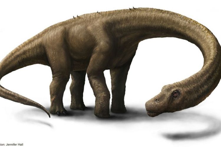 Detail Gambar Dinosaurus Besar Nomer 15