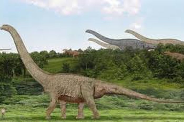 Detail Gambar Dinosaurus Besar Nomer 22