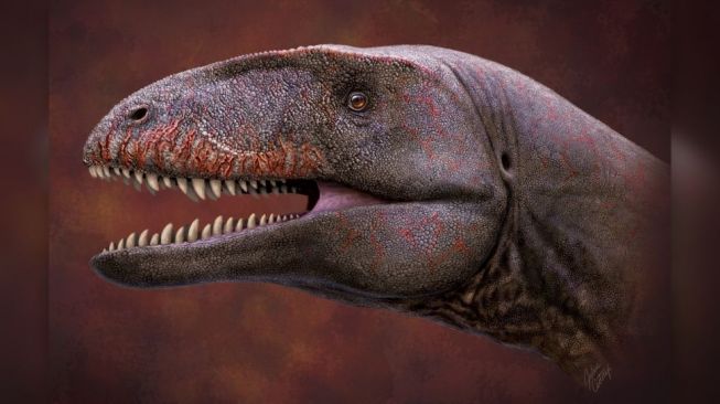 Detail Gambar Dinosaurus Besar Nomer 45