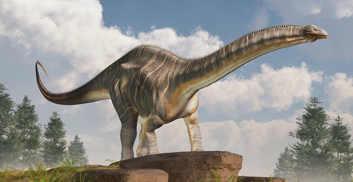 Gambar Dinosaurus Brontosaurus - KibrisPDR