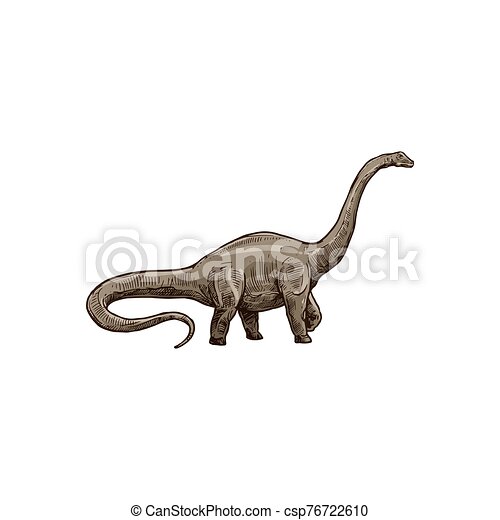 Detail Gambar Dinosaurus Brontosaurus Nomer 30