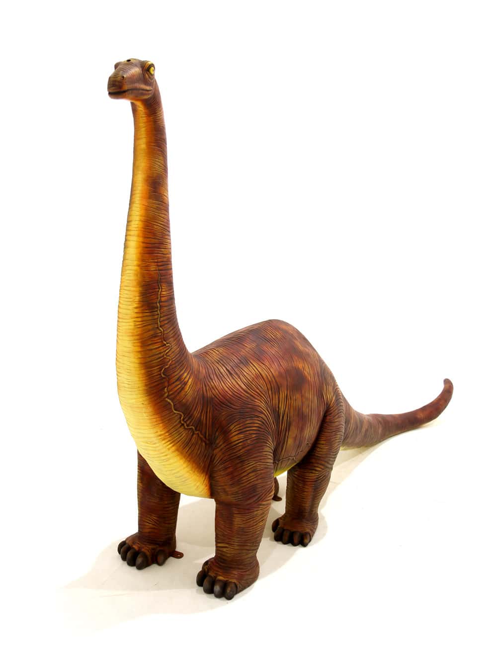 Detail Gambar Dinosaurus Brontosaurus Nomer 35
