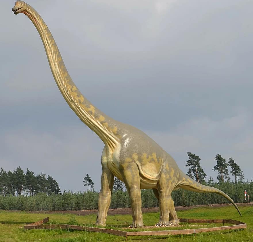 Detail Gambar Dinosaurus Brontosaurus Nomer 40