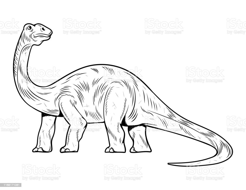 Detail Gambar Dinosaurus Brontosaurus Nomer 5