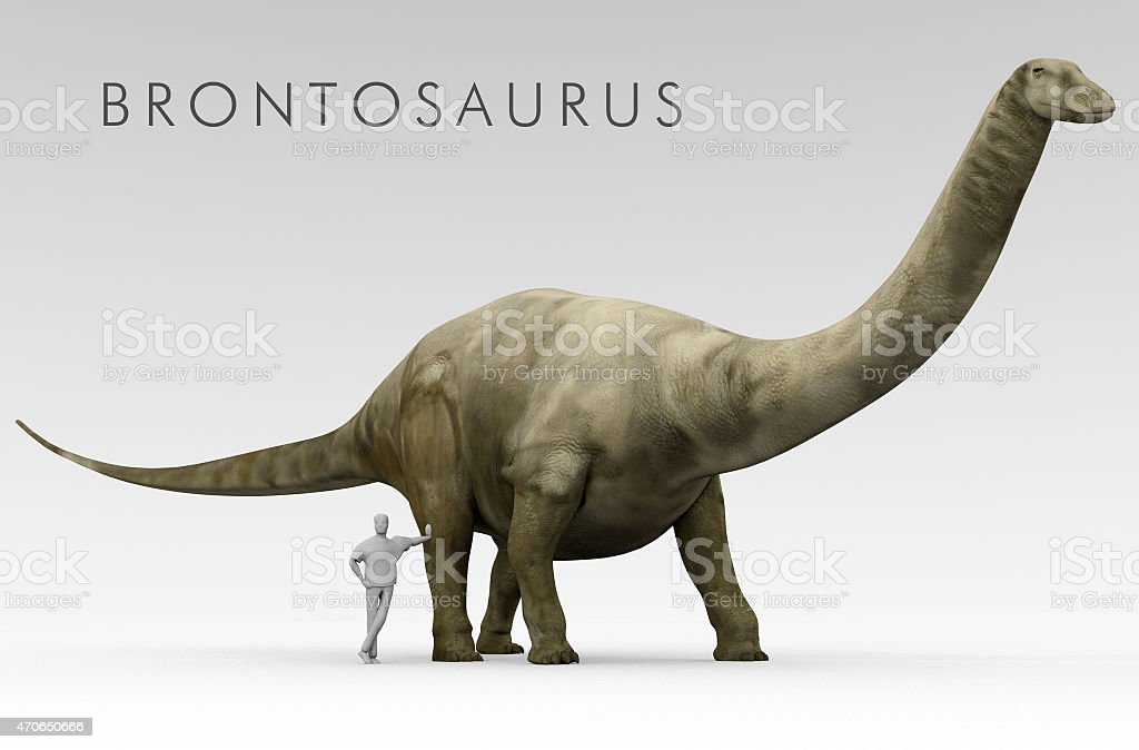 Detail Gambar Dinosaurus Brontosaurus Nomer 7