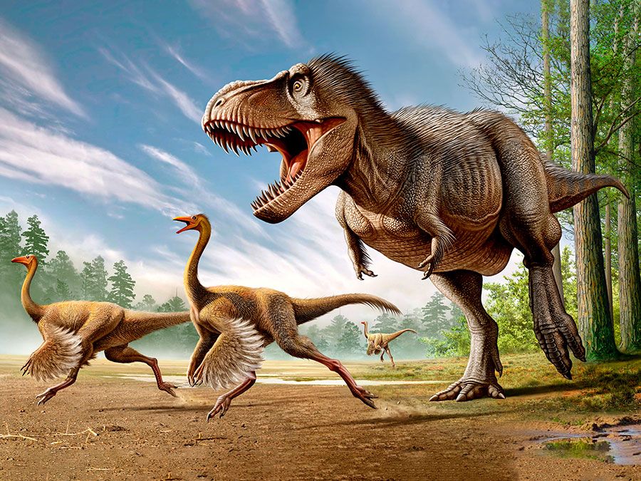 Gambar Dinosaurus Gambar Dinosaurus - KibrisPDR