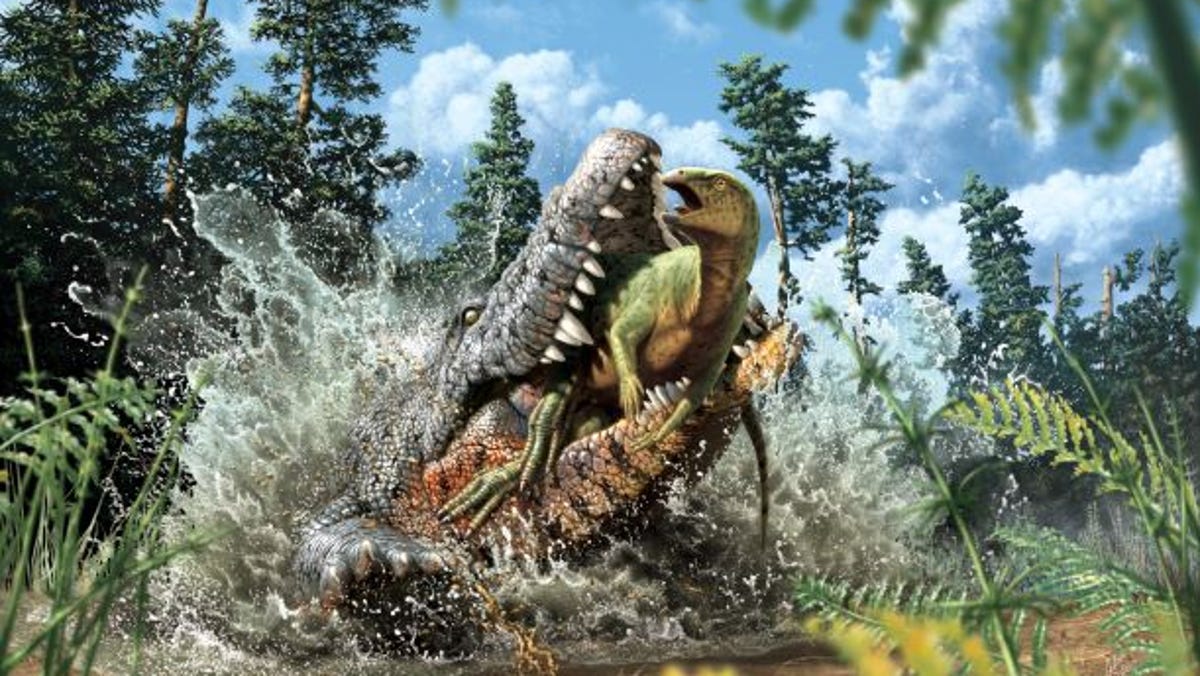 Detail Gambar Dinosaurus Gambar Dinosaurus Nomer 27