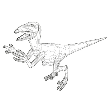 Detail Gambar Dinosaurus Hitam Putih Nomer 18