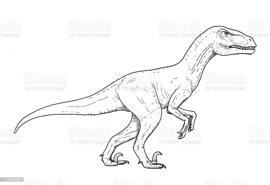 Detail Gambar Dinosaurus Mudah Nomer 47