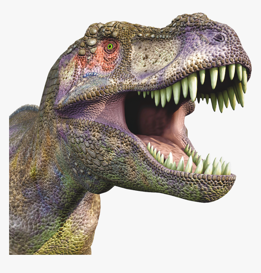 Detail Gambar Dinosaurus Png Nomer 28