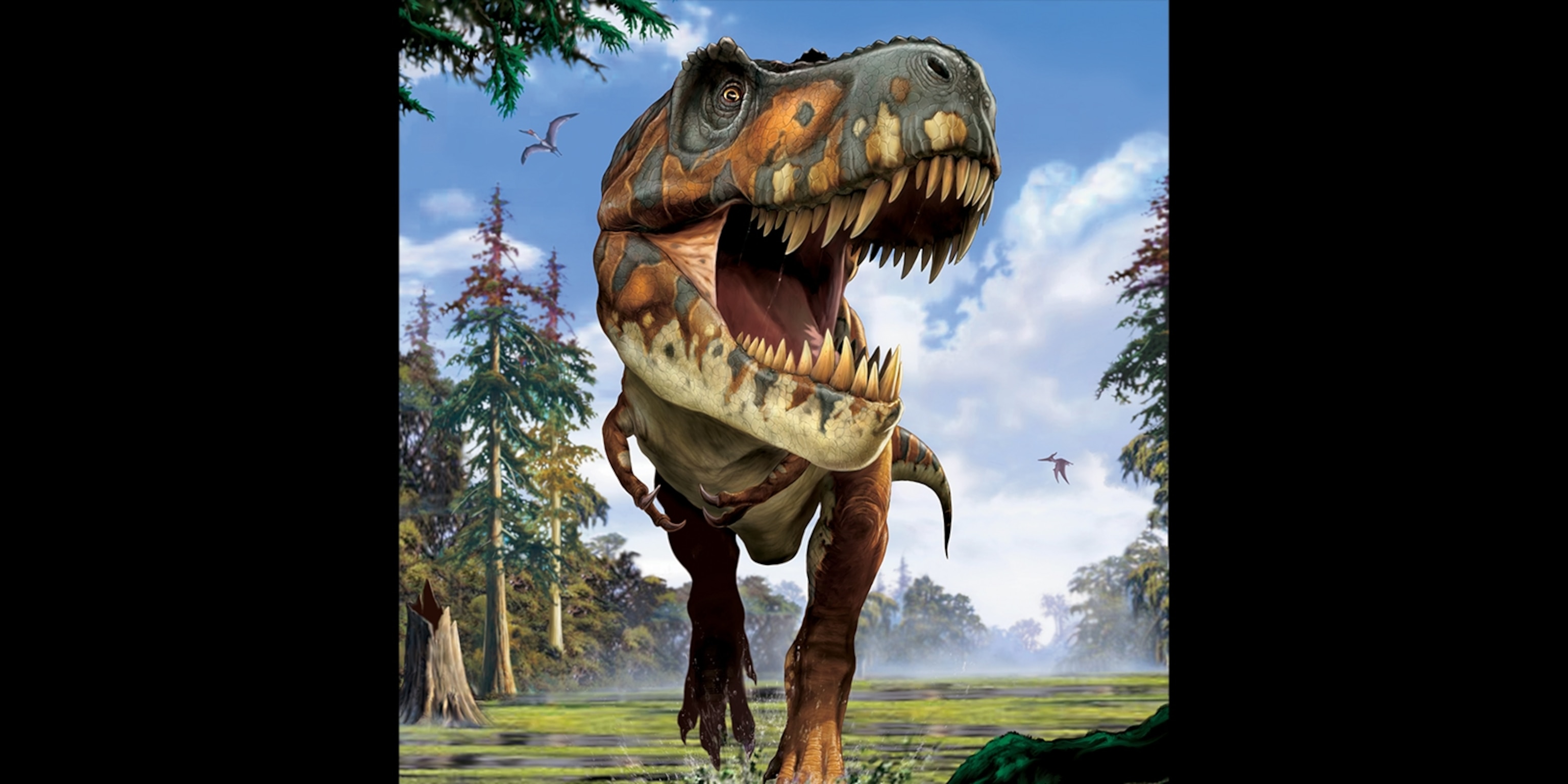 Detail Gambar Dinosaurus T Rex Nomer 24