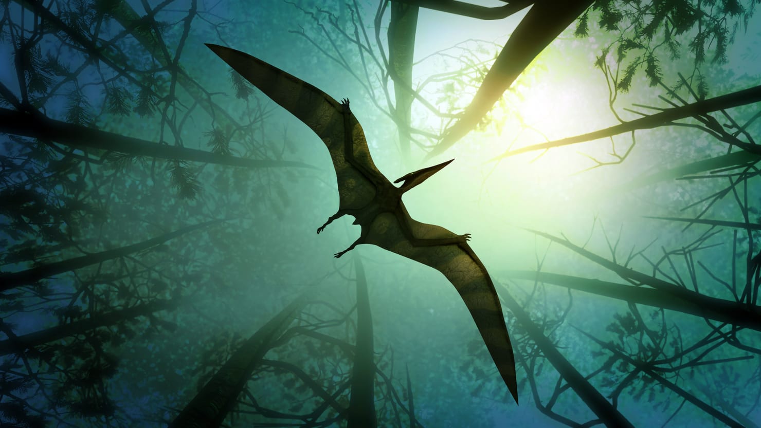 Detail Gambar Dinosaurus Terbang Nomer 18