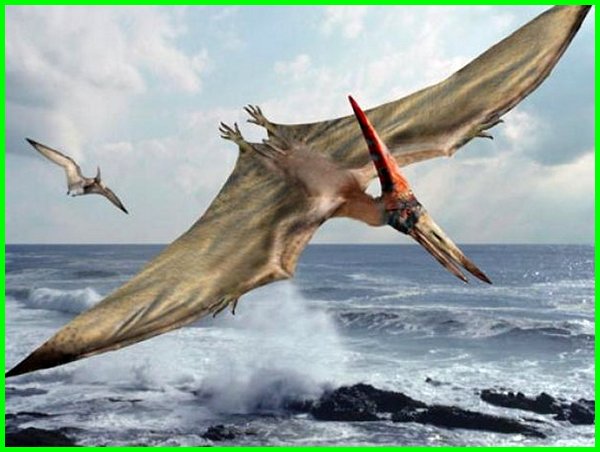 Detail Gambar Dinosaurus Terbang Nomer 3