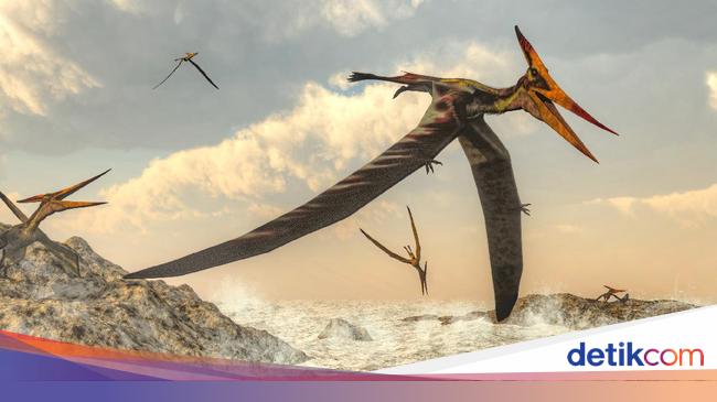 Detail Gambar Dinosaurus Terbang Nomer 7