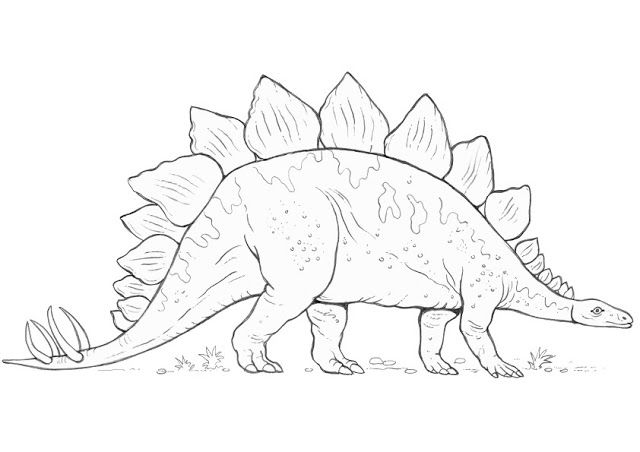 Detail Gambar Dinosaurus Untuk Mewarnai Nomer 34