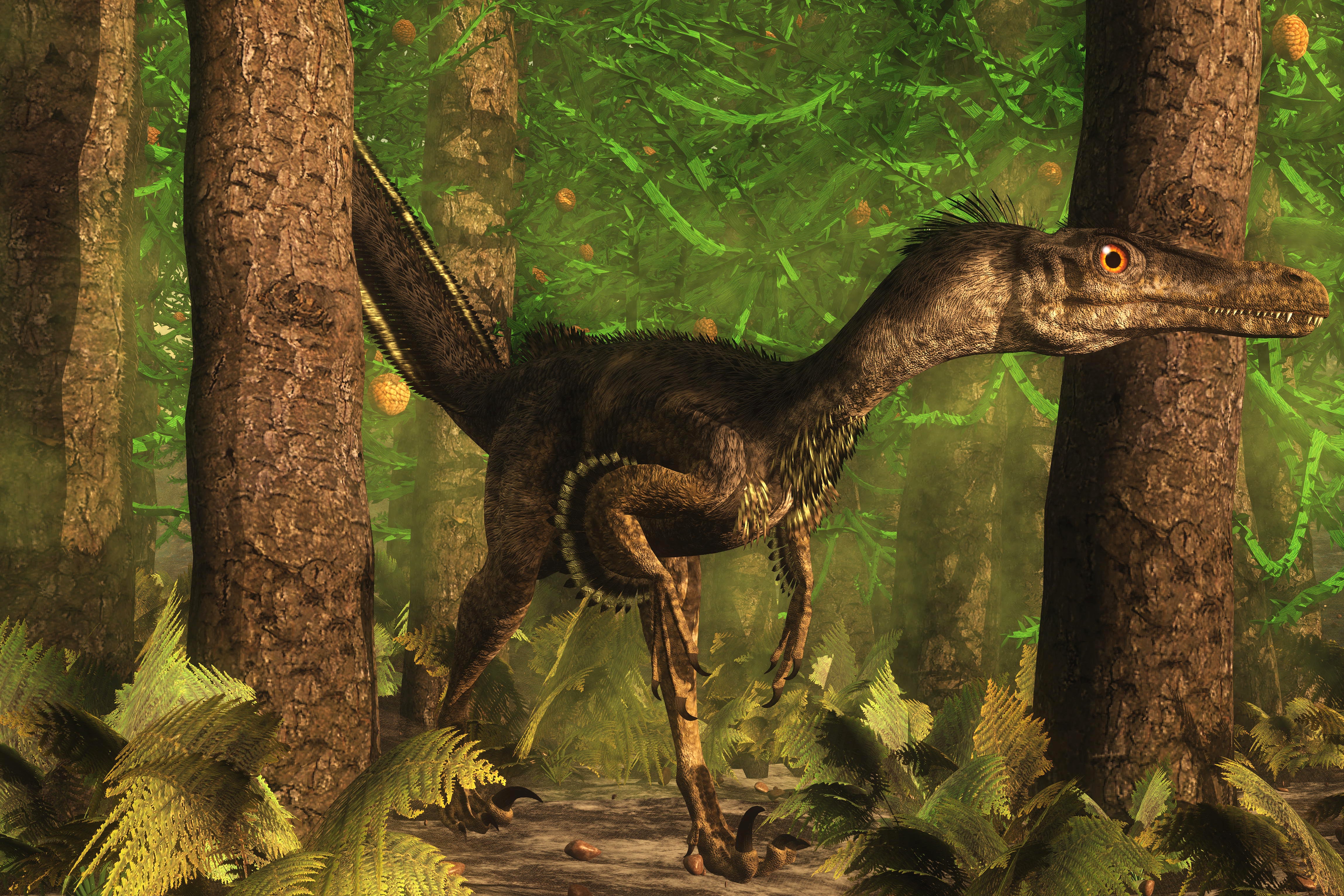 Detail Gambar Dinosaurus Velociraptor Nomer 37